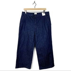 J. Crew Rayner Wide Leg Trouser Denim Jeans 31